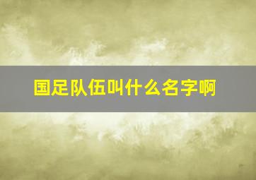 国足队伍叫什么名字啊