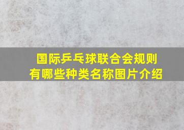 国际乒乓球联合会规则有哪些种类名称图片介绍