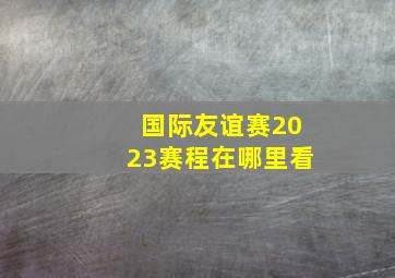 国际友谊赛2023赛程在哪里看