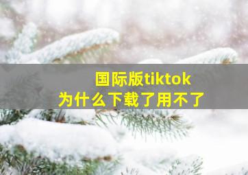 国际版tiktok为什么下载了用不了