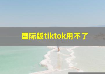 国际版tiktok用不了