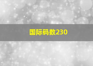 国际码数230