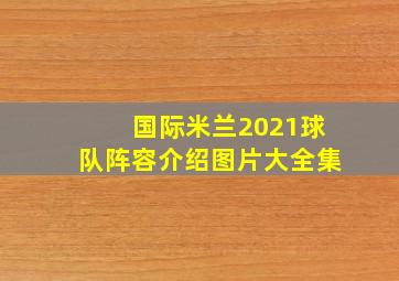 国际米兰2021球队阵容介绍图片大全集