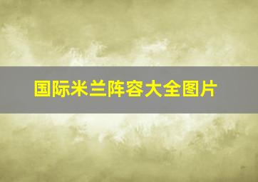 国际米兰阵容大全图片