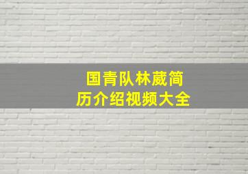 国青队林葳简历介绍视频大全