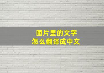 图片里的文字怎么翻译成中文