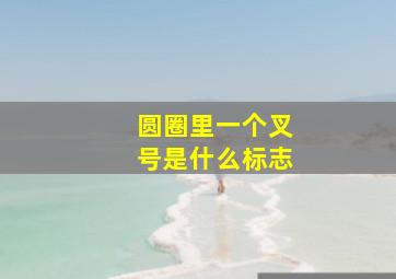 圆圈里一个叉号是什么标志