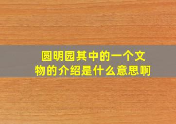 圆明园其中的一个文物的介绍是什么意思啊