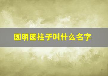 圆明园柱子叫什么名字