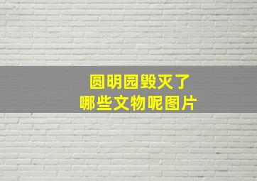 圆明园毁灭了哪些文物呢图片