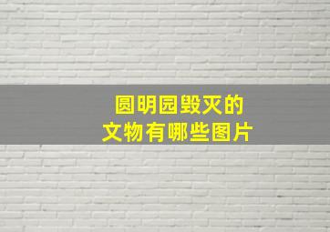 圆明园毁灭的文物有哪些图片