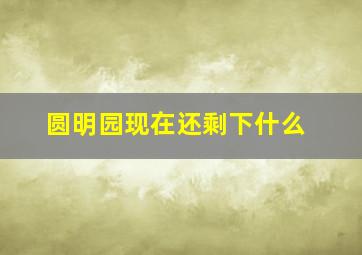 圆明园现在还剩下什么