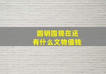 圆明园现在还有什么文物值钱