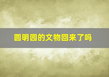 圆明园的文物回来了吗