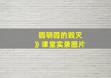 圆明园的毁灭》课堂实录图片