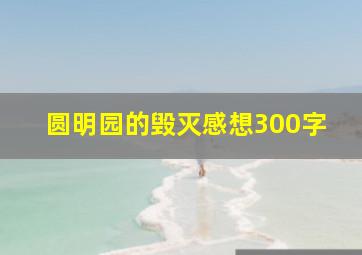 圆明园的毁灭感想300字