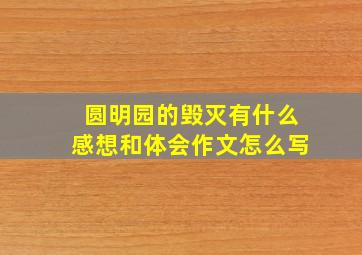 圆明园的毁灭有什么感想和体会作文怎么写