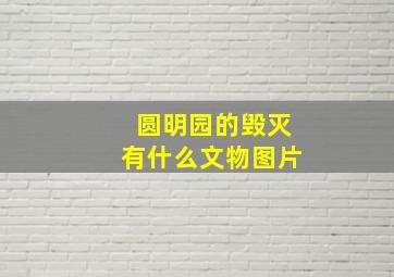 圆明园的毁灭有什么文物图片