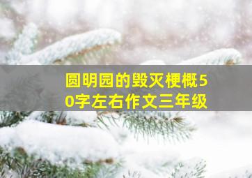 圆明园的毁灭梗概50字左右作文三年级