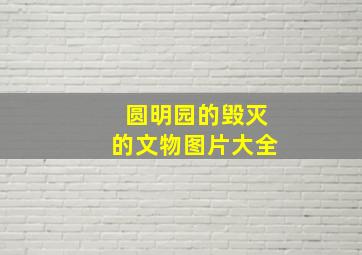 圆明园的毁灭的文物图片大全