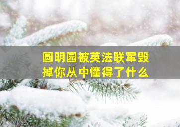 圆明园被英法联军毁掉你从中懂得了什么