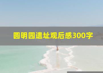 圆明园遗址观后感300字