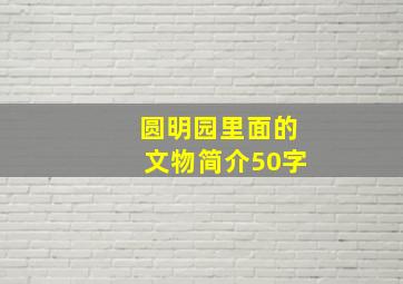 圆明园里面的文物简介50字