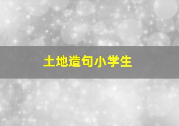 土地造句小学生