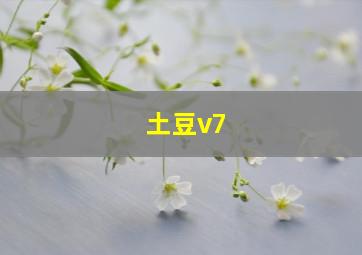 土豆v7