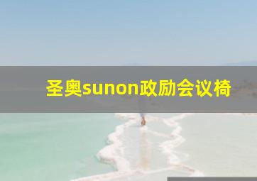 圣奥sunon政励会议椅