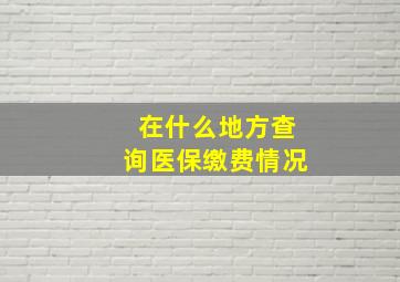 在什么地方查询医保缴费情况