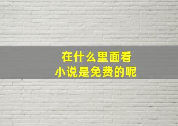 在什么里面看小说是免费的呢