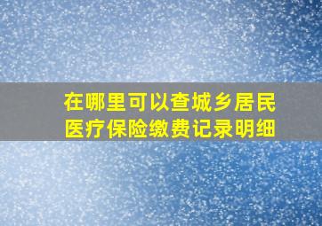 在哪里可以查城乡居民医疗保险缴费记录明细