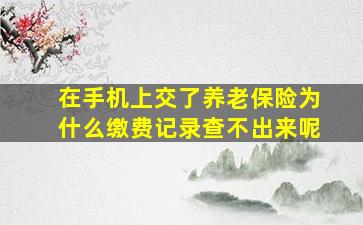 在手机上交了养老保险为什么缴费记录查不出来呢