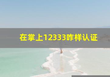 在掌上12333咋样认证