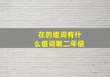 在的组词有什么组词呢二年级