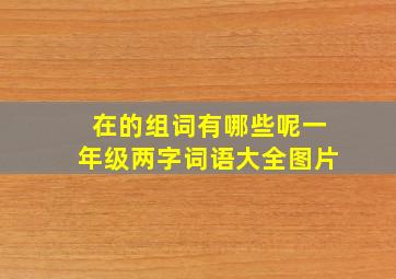 在的组词有哪些呢一年级两字词语大全图片