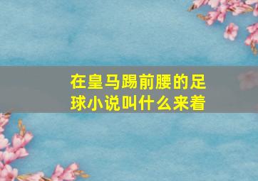 在皇马踢前腰的足球小说叫什么来着