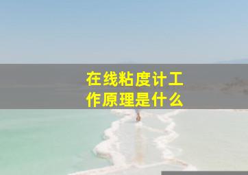 在线粘度计工作原理是什么