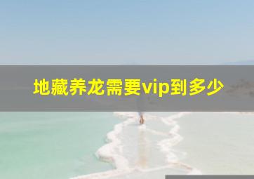 地藏养龙需要vip到多少