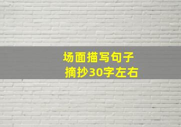 场面描写句子摘抄30字左右