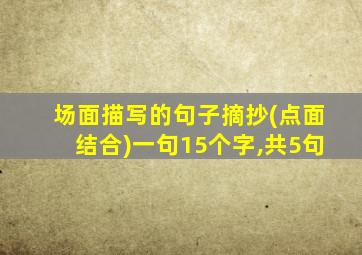 场面描写的句子摘抄(点面结合)一句15个字,共5句