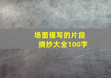 场面描写的片段摘抄大全100字