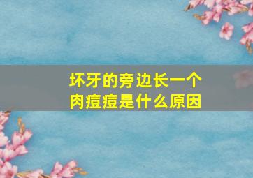 坏牙的旁边长一个肉痘痘是什么原因