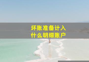 坏账准备计入什么明细账户