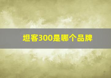 坦客300是哪个品牌