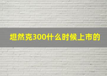 坦然克300什么时候上市的