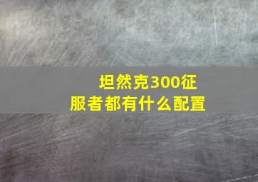 坦然克300征服者都有什么配置