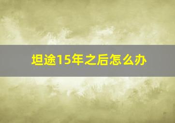 坦途15年之后怎么办