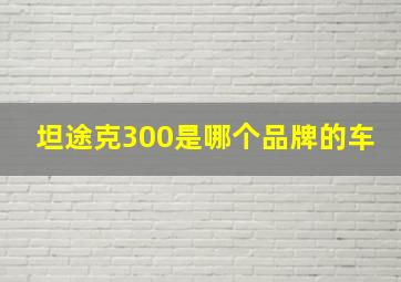 坦途克300是哪个品牌的车